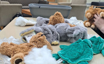 Students take home stuffed animal friends at DIY event Plushies sitting on a table waiting to be stuffed