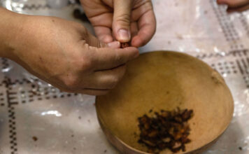 Photos: Festival Gastronómico Mexicano A person's hands shelling dry cocoa beans in a bowl