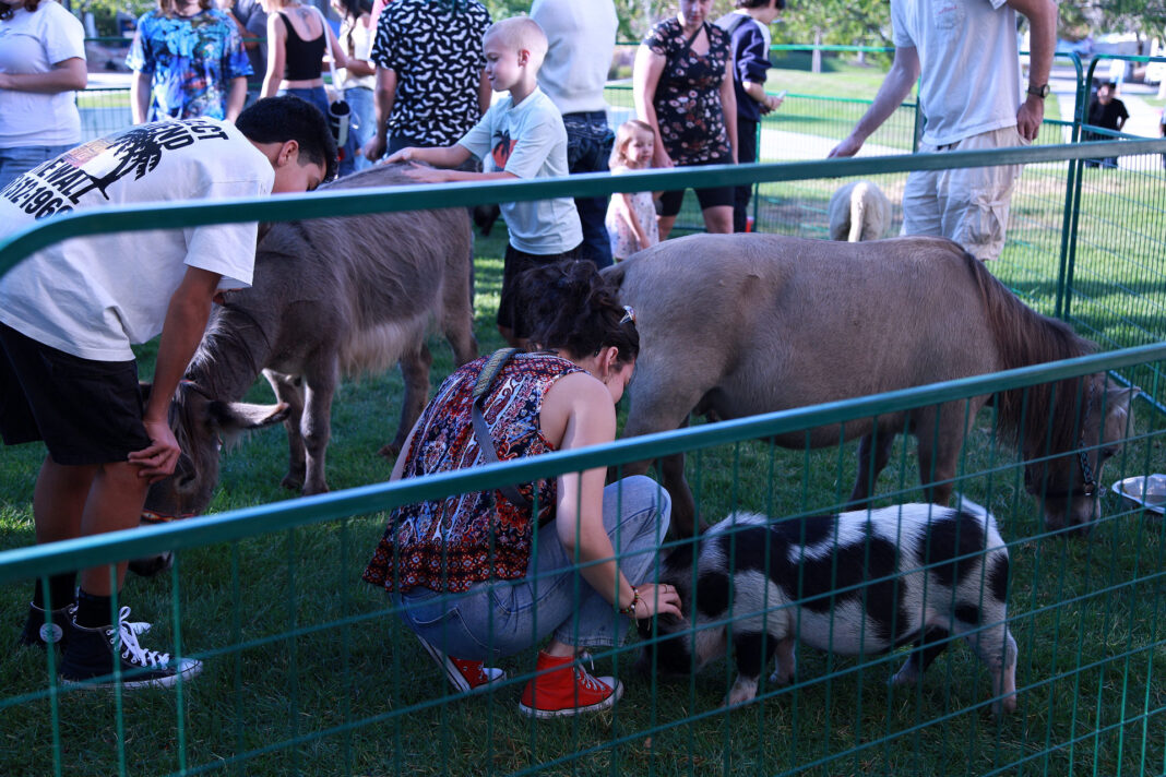 People bending down to pet farm animals