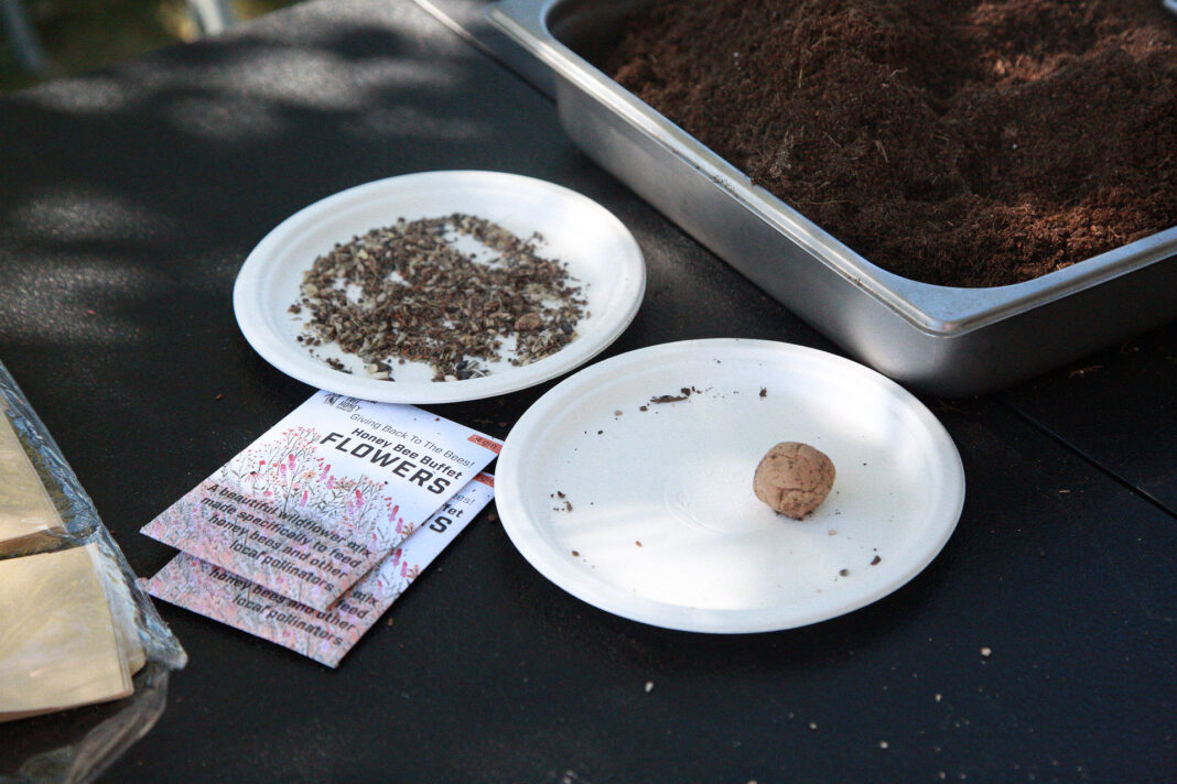 Plates with seeds and seed packets for gardening sitting on a table