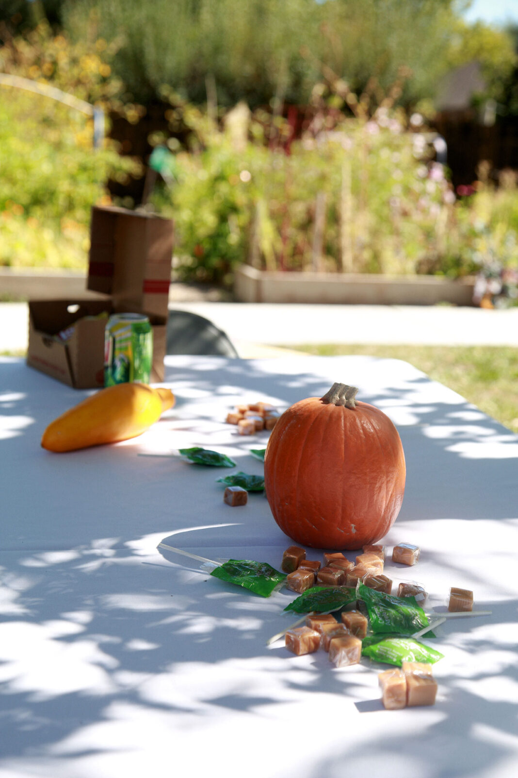 Candy and gourds sitting on a table with a garden in background
