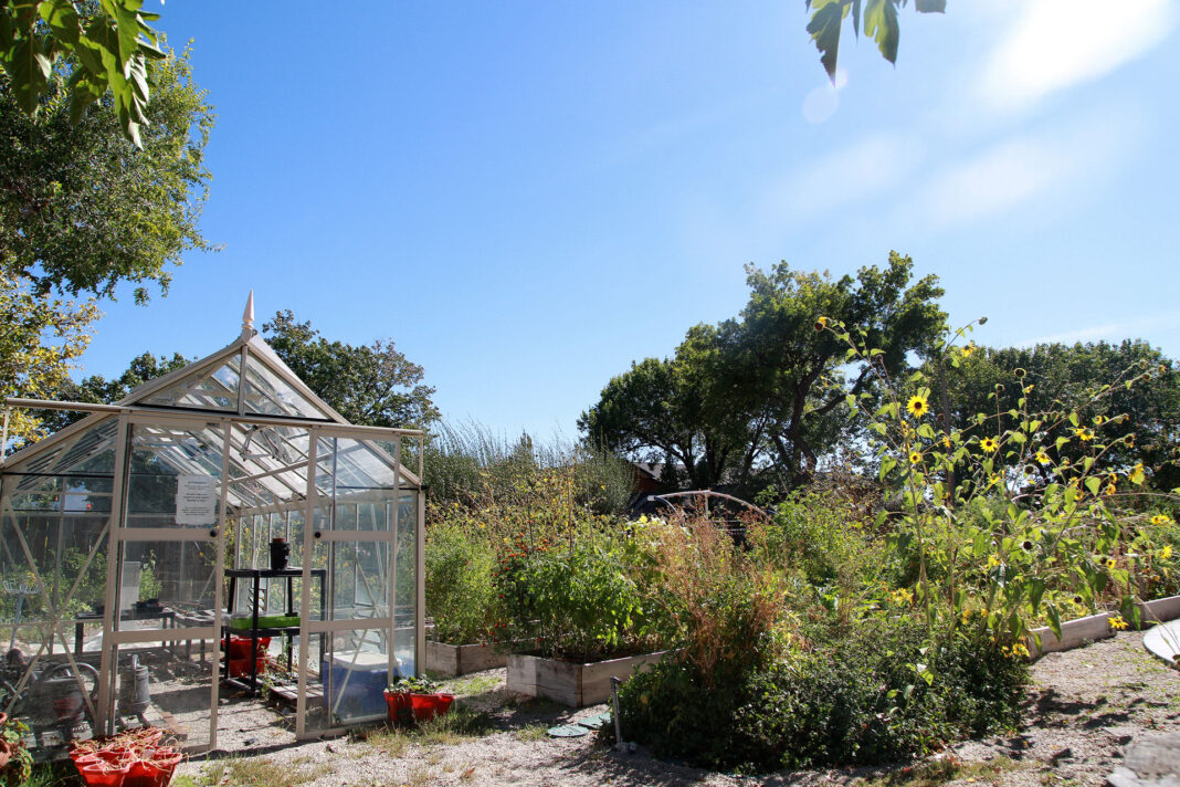 Sun shining on a garden and greenhouse