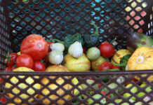 Photos: SLCC throws a garden party Grocery basket containing various vegetables