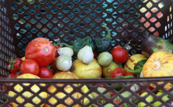 Photos: SLCC throws a garden party Grocery basket containing various vegetables