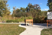 SLCC to grow outreach of recently renamed ‘Student Gardens’ Garden area sitting under sunshine and blue sky
