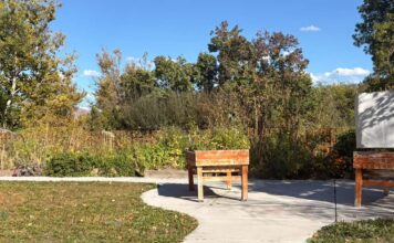 SLCC to grow outreach of recently renamed ‘Student Gardens’ Garden area sitting under sunshine and blue sky