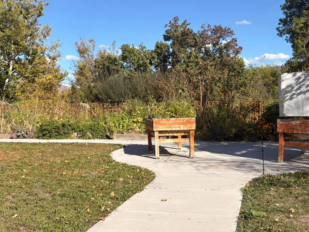 Garden area sitting under sunshine and blue sky