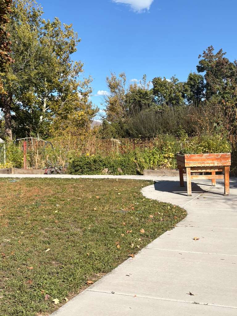 Garden area sitting under sunshine and blue sky