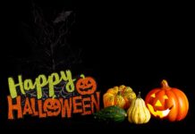 Best of Halloween in the Salt Lake Valley Happy Halloween text with gourds of various shapes and colors on a black background