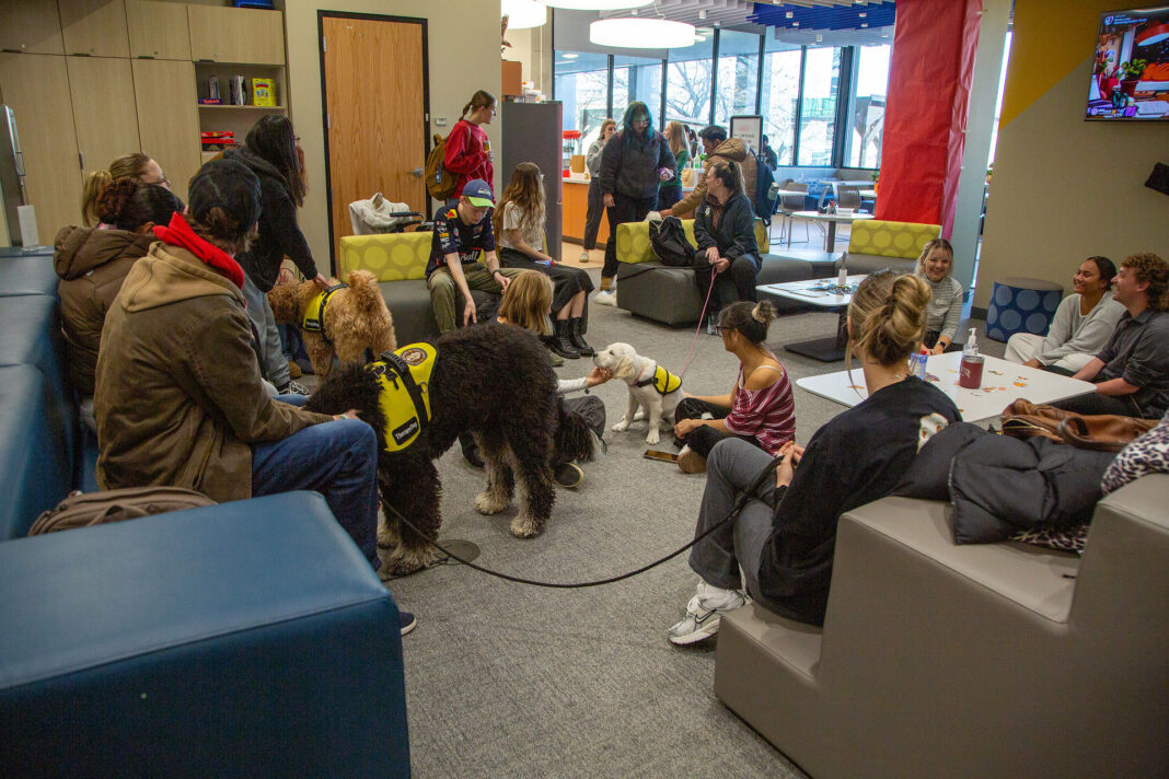 People petting dogs in a lounge