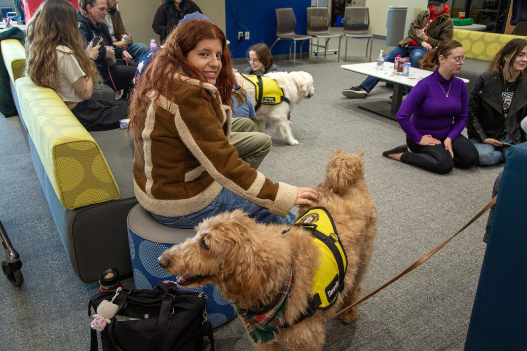 Young woman petting a light brown therapy dog