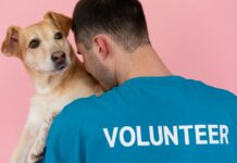 12 (creative) ways to give back this winter Man Holding a Brown Dog