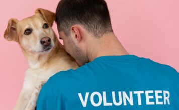 12 (creative) ways to give back this winter Man Holding a Brown Dog