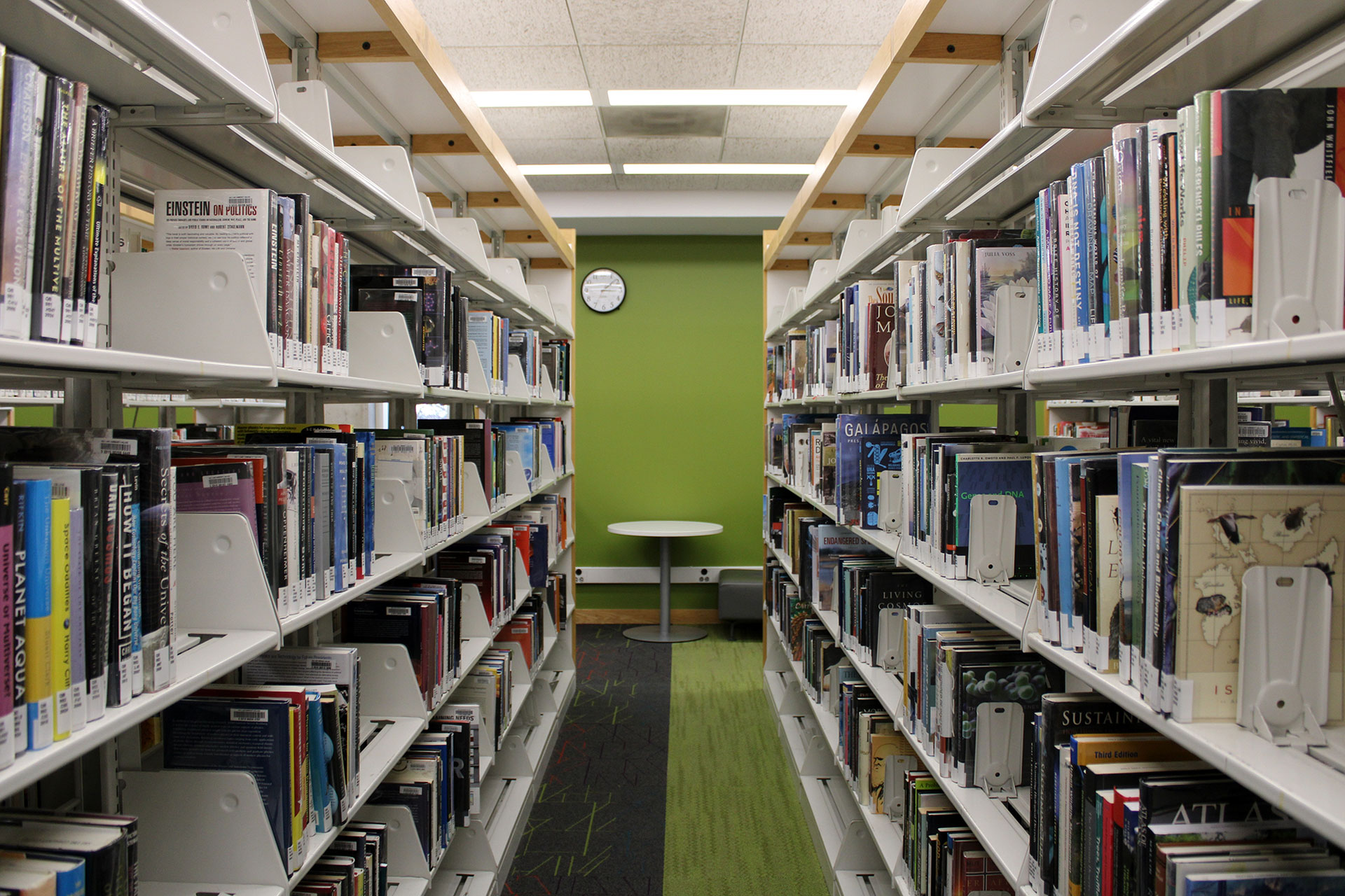 Library bookshelves full of books