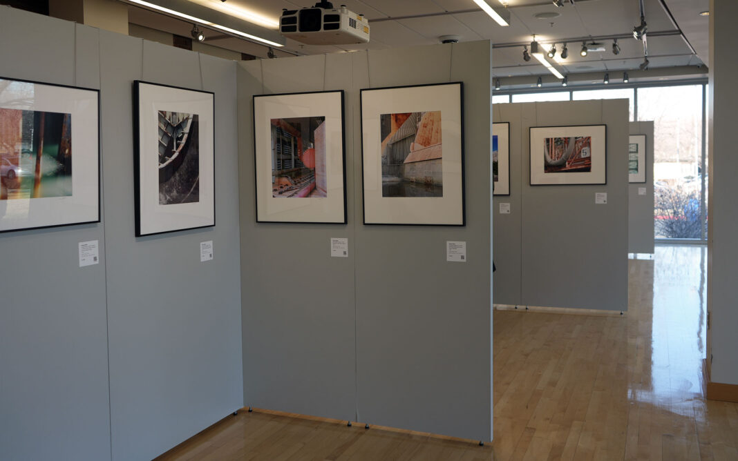 Framed photographs hanging in a gallery