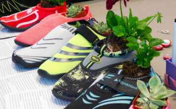 SLCC programs and services celebrate Earth Day with upcycled projects Green plants nestled inside different colored shoes on a table