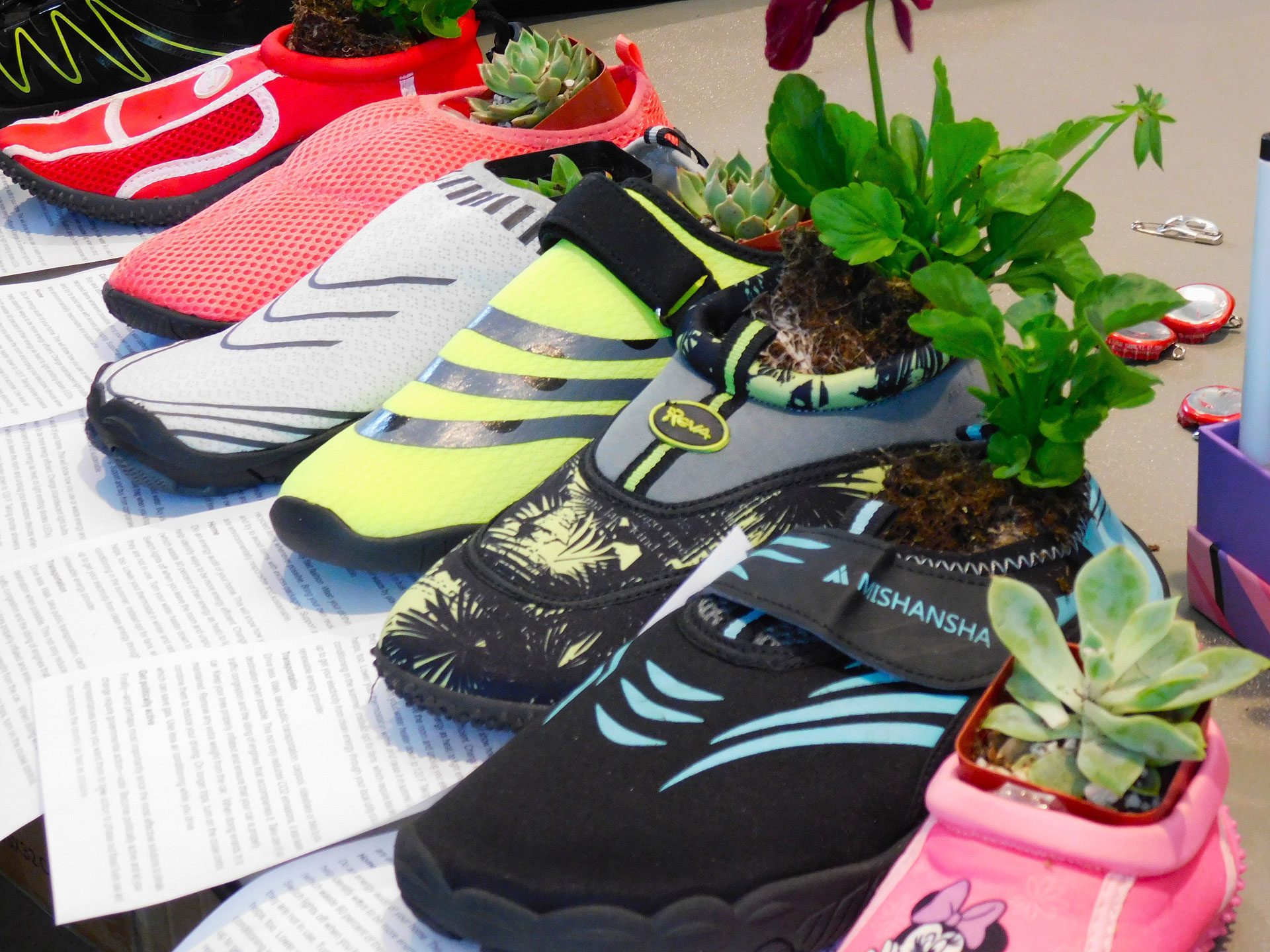 Green plants nestled inside different colored shoes on a table