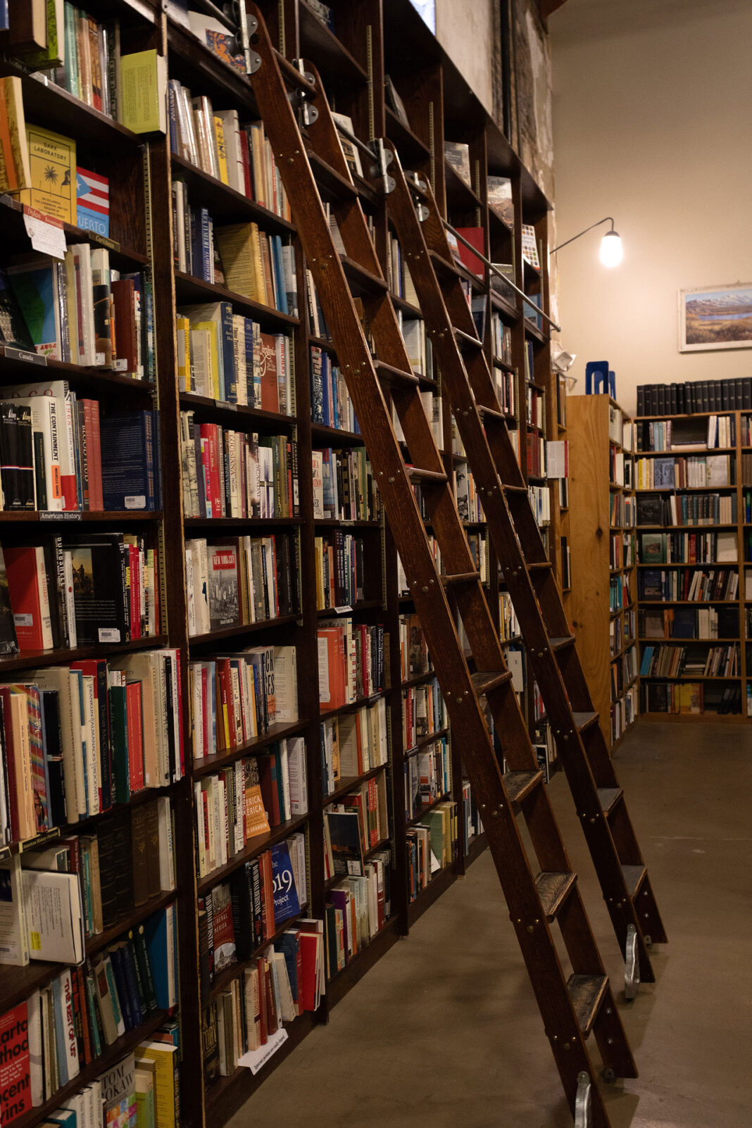 Two ladders leaning on bookshelves