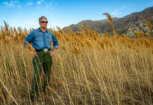 He’s not a scientist. But he’s on a mission to save the Great Salt Lake — one piece of clothing at a time. Chris standing among the phragmites