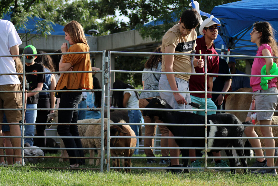 Gate separating festivalgoers from farm animals