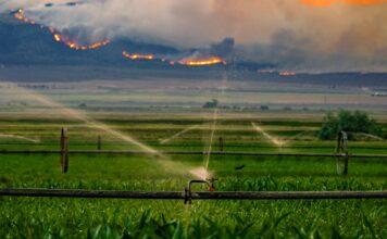 Utah’s growing water crisis creates challenges across the state Sprinklers water a field as wildfires burn on distant mountains