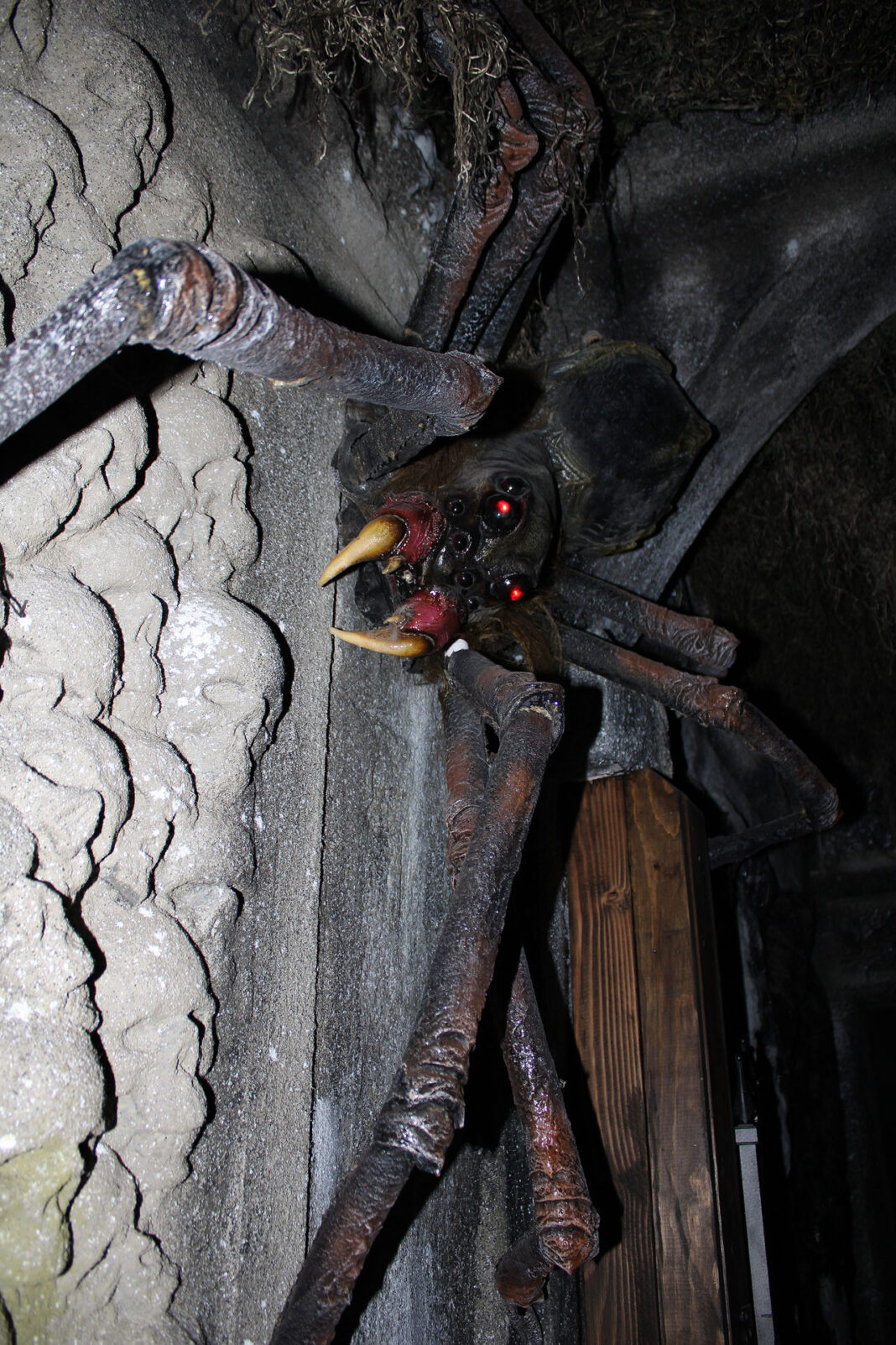 Giant spider with red eyes hanging overhead