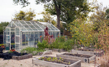 In photos: Fall Garden Party celebrates successful growing season Plants growing in garden area with a greenhouse and planter boxes