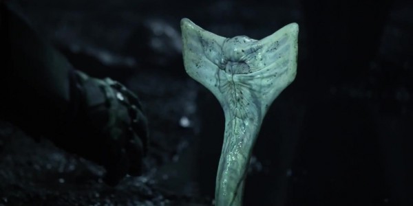 art-prometheus-alien-parasite "Prometheus" movie still of alien parasite