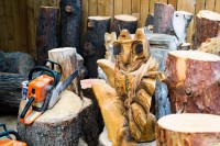 wood sculptures