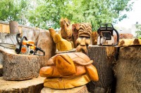 wood sculptures