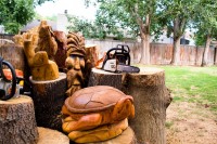 wood sculptures