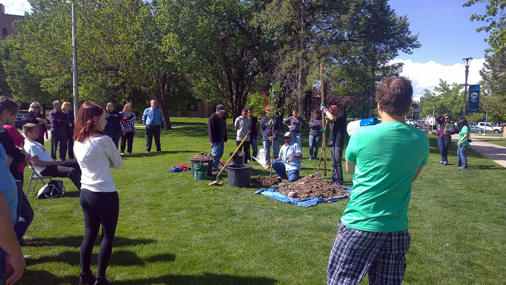 Tree planting event grows green culture at SLCC Tree planting event at Redwood
