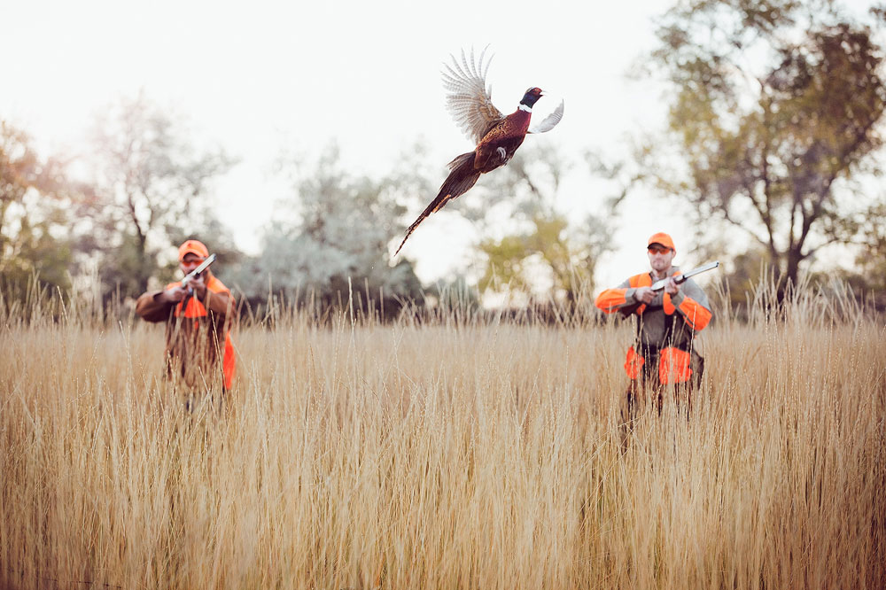 SLCC alum finds success as photographer Pheasant hunt