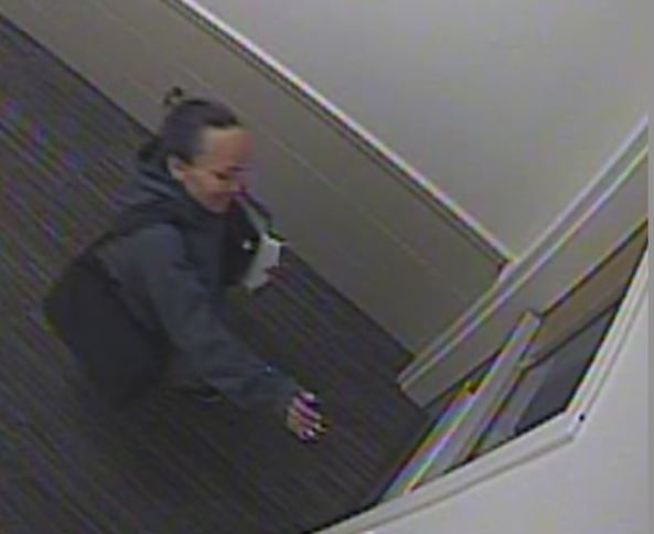 Theft highlights most common campus crime Person of interest allegedly leaving scene of crime.
