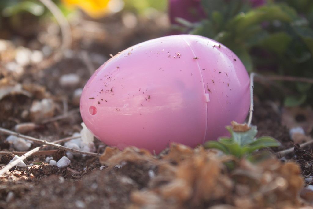 Easter Egg Hunt provides opportunities for service and fun Pink Easter egg