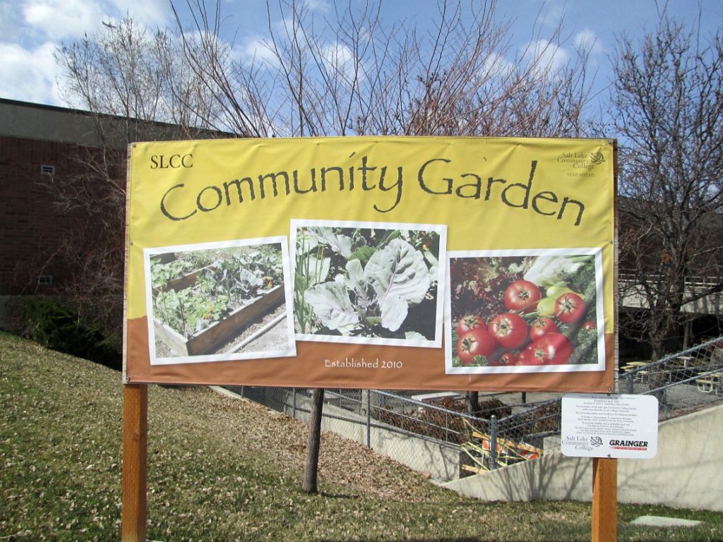 Program teaches skills for social change SLICE members built community gardens to provide food for the hungry for one of their projects.