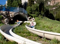 Alpine slide at Snowbird