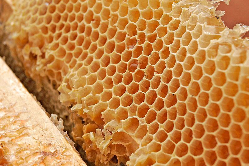 Use honey for those boo boos Honeycomb