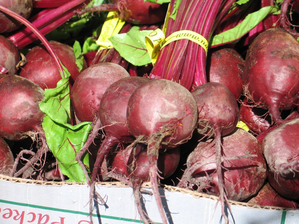 For healing through diet, you can’t beat a beet Beets are simple crops, but they have a wide variety of uses.