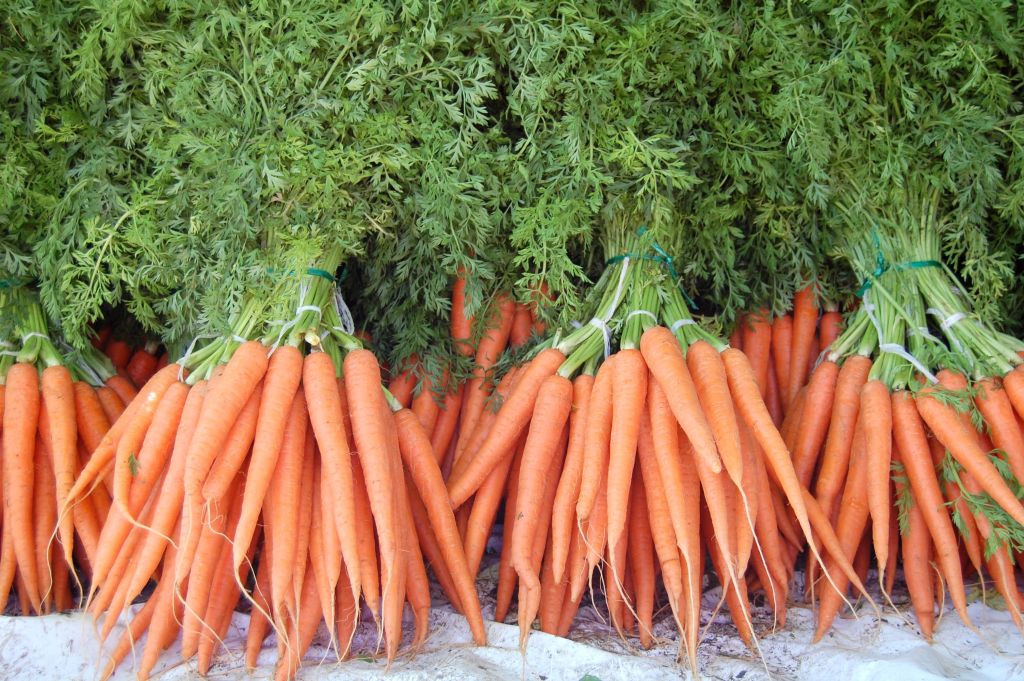 Carrots won’t grant night vision, but they’re still a super-food